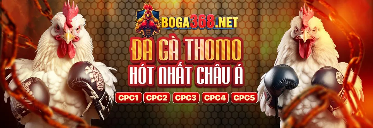 Đá Gà Trực Tuyến tại acb888 link vào
